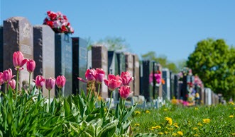 CEMETERY - A Sanctuary For The Living